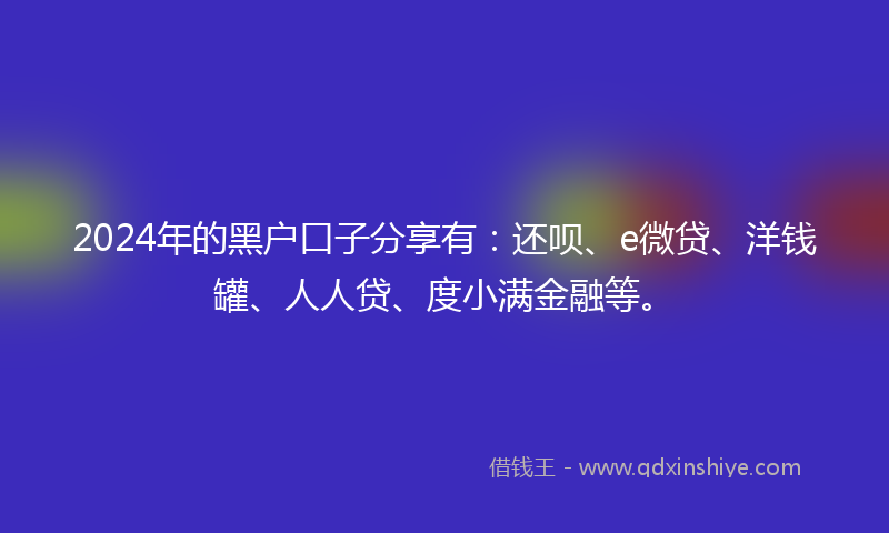 2024年的黑户口子分享有：还呗、e微贷、洋钱罐、人人贷、度小满金融等。