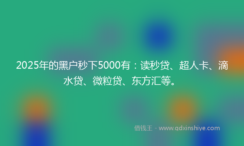 2025年的黑户秒下5000有：读秒贷、超人卡、滴水贷、微粒贷、东方汇等。