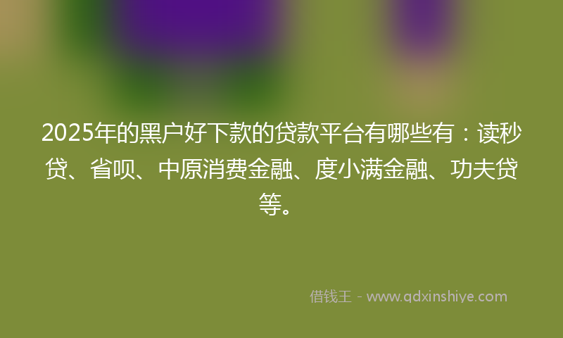 2025年的黑户好下款的贷款平台有哪些有：读秒贷、省呗、中原消费金融、度小满金融、功夫贷等。