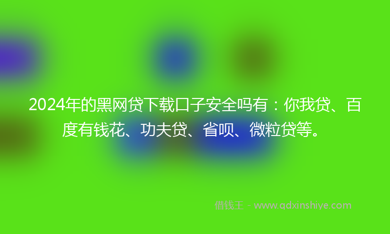 2024年的黑网贷下载口子安全吗有：你我贷、百度有钱花、功夫贷、省呗、微粒贷等。