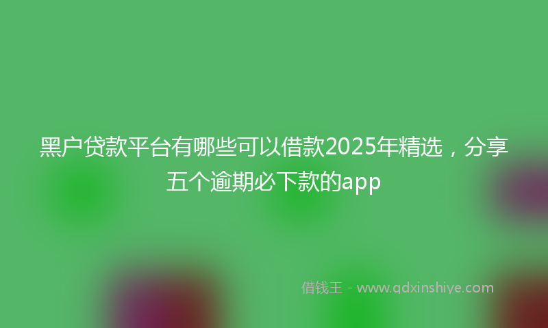 黑户贷款平台有哪些可以借款2025年精选，分享五个逾期必下款的app