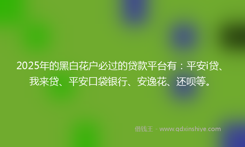 2025年的黑白花户必过的贷款平台有：平安i贷、我来贷、平安口袋银行、安逸花、还呗等。