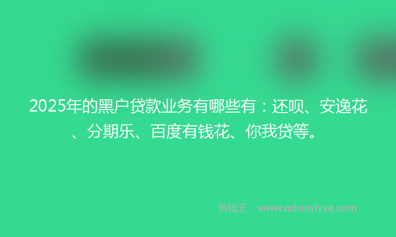 2025年的黑户贷款业务有哪些有：还呗、安逸花、分期乐、百度有钱花、你我贷等。