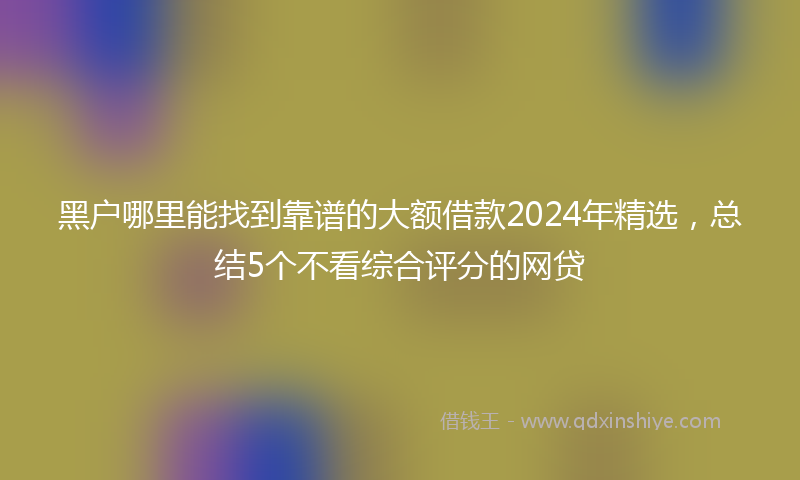 黑户哪里能找到靠谱的大额借款2024年精选，总结5个不看综合评分的网贷