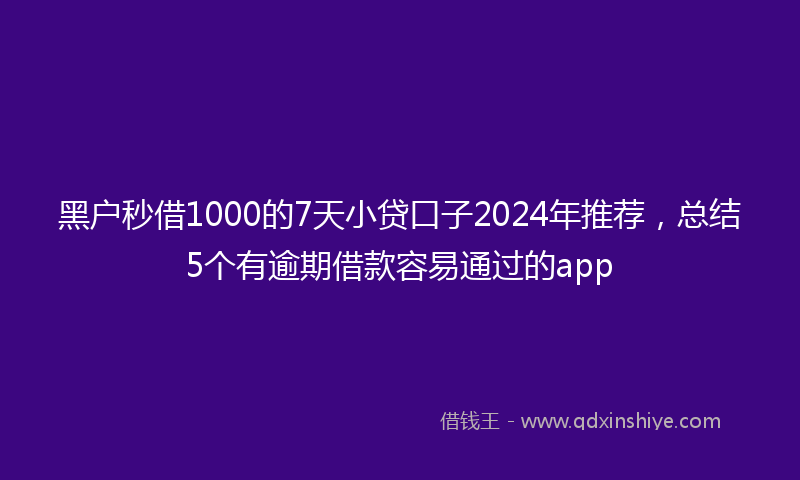 黑户秒借1000的7天小贷口子2024年推荐，总结5个有逾期借款容易通过的app