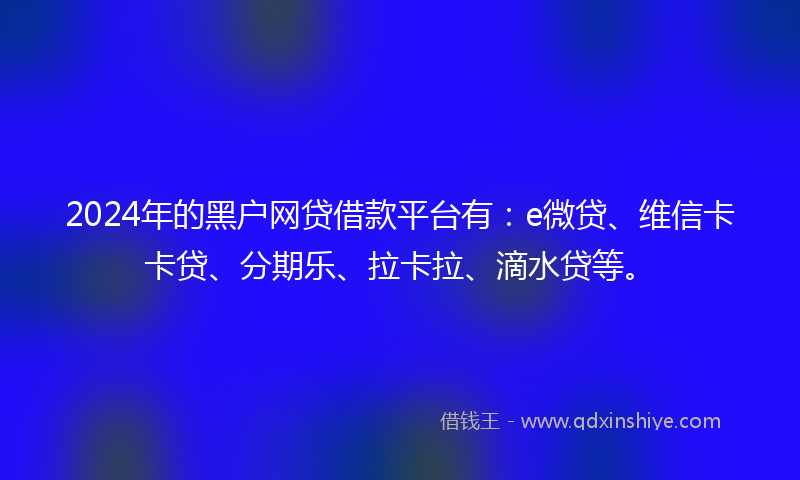 2024年的黑户网贷借款平台有：e微贷、维信卡卡贷、分期乐、拉卡拉、滴水贷等。