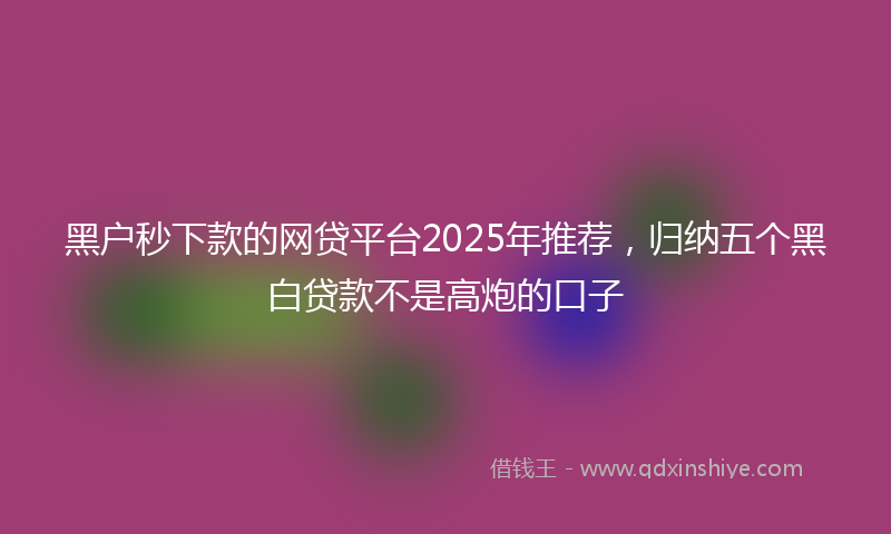 黑户秒下款的网贷平台2025年推荐，归纳五个黑白贷款不是高炮的口子
