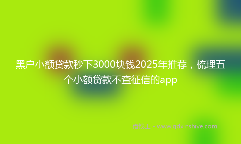 黑户小额贷款秒下3000块钱2025年推荐，梳理五个小额贷款不查征信的app