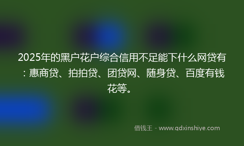 2025年的黑户花户综合信用不足能下什么网贷有：惠商贷、拍拍贷、团贷网、随身贷、百度有钱花等。