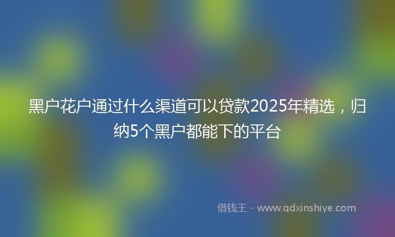 黑户花户通过什么渠道可以贷款2025年精选，归纳5个黑户都能下的平台