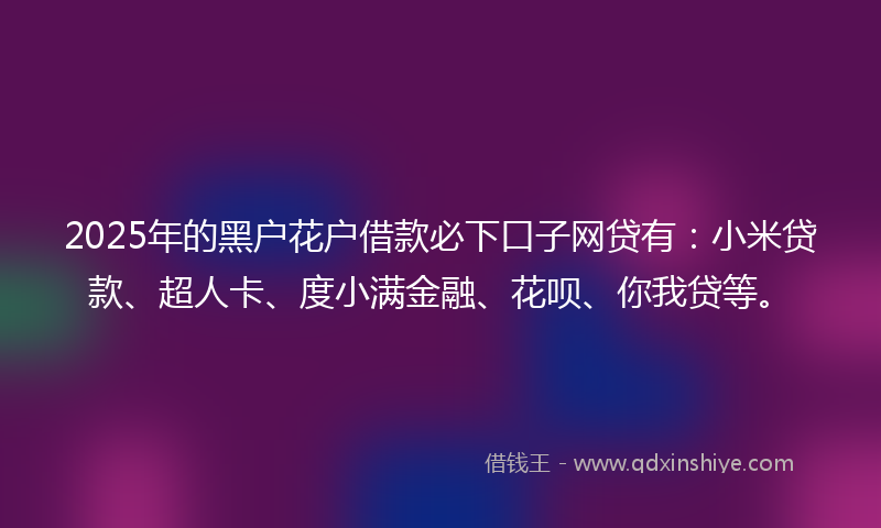2025年的黑户花户借款必下口子网贷有：小米贷款、超人卡、度小满金融、花呗、你我贷等。