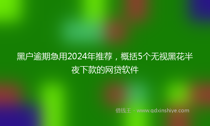 黑户逾期急用2024年推荐，概括5个无视黑花半夜下款的网贷软件