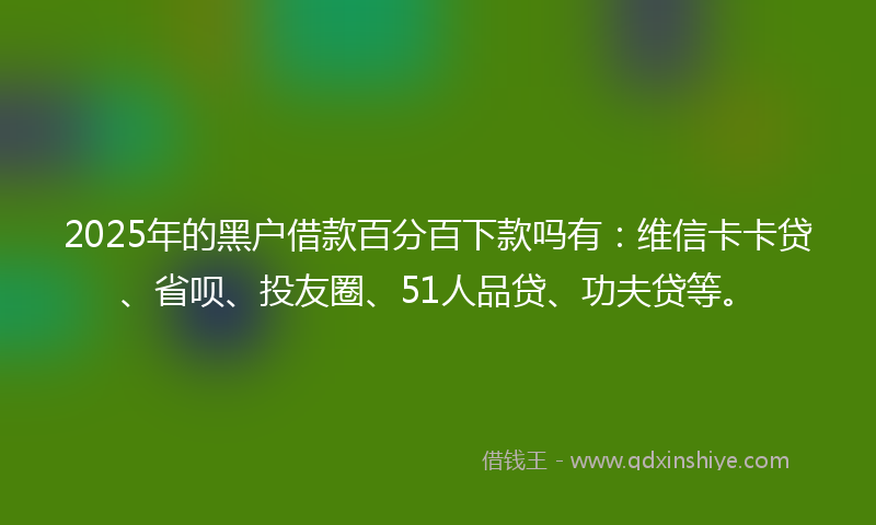 2025年的黑户借款百分百下款吗有：维信卡卡贷、省呗、投友圈、51人品贷、功夫贷等。