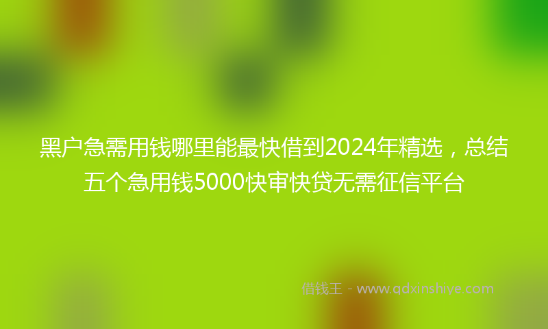 黑户急需用钱哪里能最快借到2024年精选，总结五个急用钱5000快审快贷无需征信平台