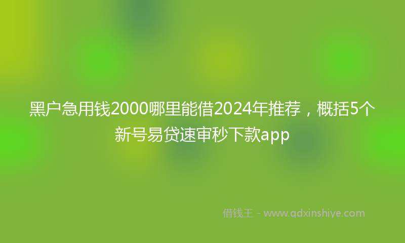 黑户急用钱2000哪里能借2024年推荐，概括5个新号易贷速审秒下款app