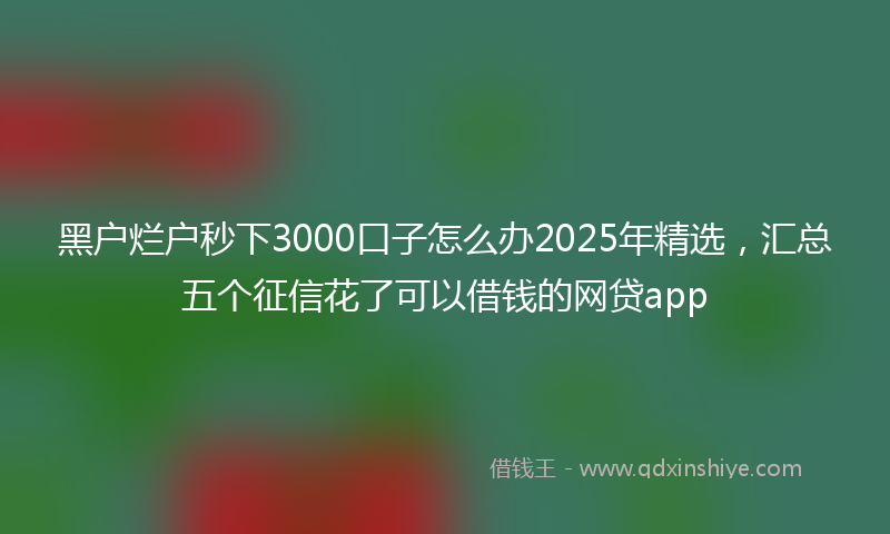黑户烂户秒下3000口子怎么办2025年精选，汇总五个征信花了可以借钱的网贷app