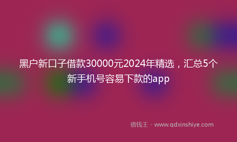 黑户新口子借款30000元2024年精选，汇总5个新手机号容易下款的app