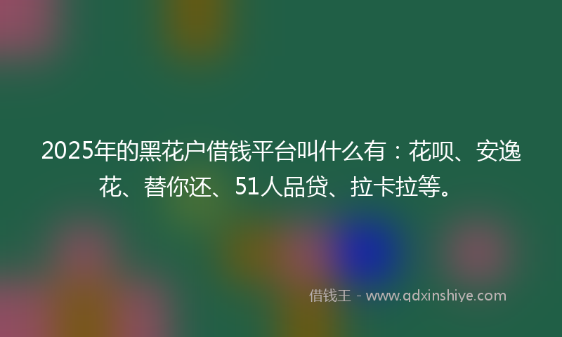 2025年的黑花户借钱平台叫什么有：花呗、安逸花、替你还、51人品贷、拉卡拉等。