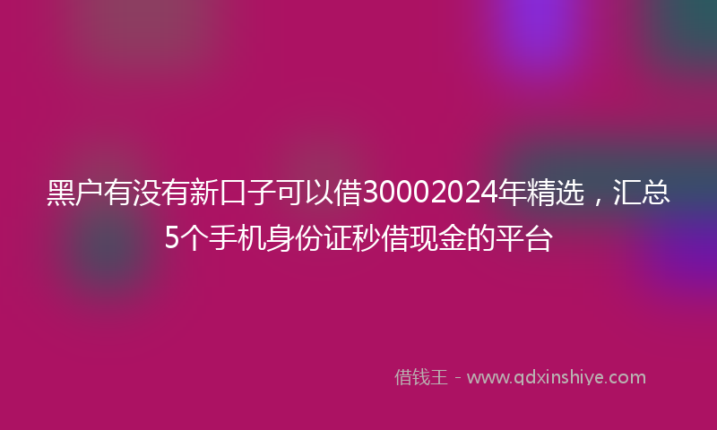 黑户有没有新口子可以借30002024年精选，汇总5个手机身份证秒借现金的平台