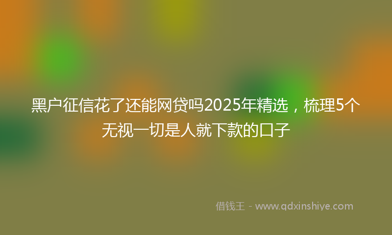 黑户征信花了还能网贷吗2025年精选，梳理5个无视一切是人就下款的口子