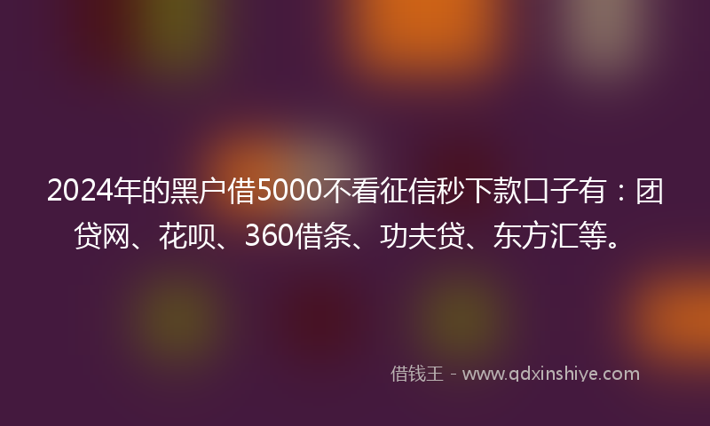 2024年的黑户借5000不看征信秒下款口子有：团贷网、花呗、360借条、功夫贷、东方汇等。