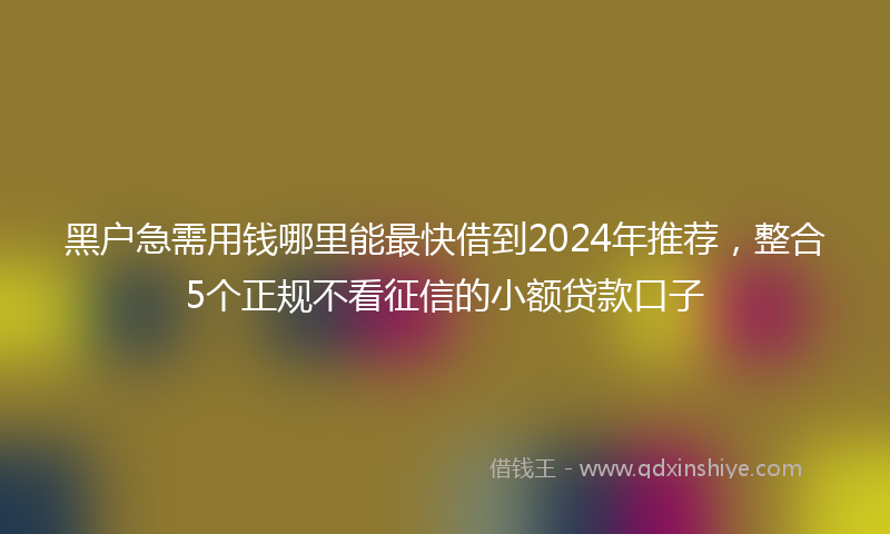 黑户急需用钱哪里能最快借到2024年推荐，整合5个正规不看征信的小额贷款口子