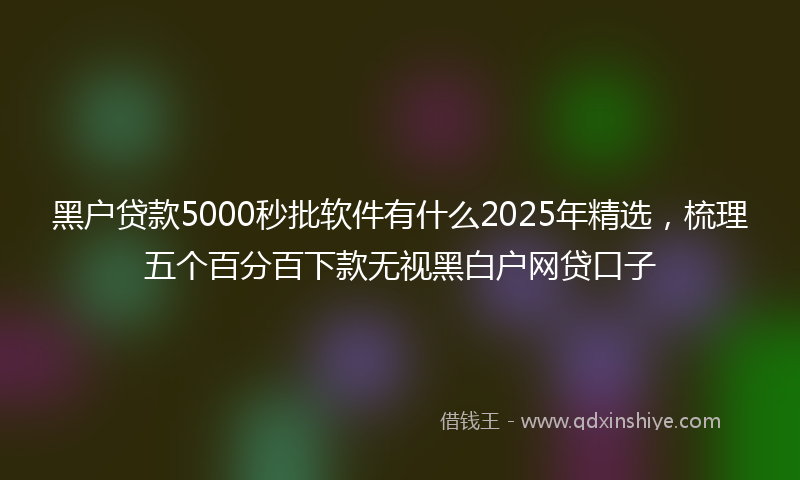 黑户贷款5000秒批软件有什么2025年精选，梳理五个百分百下款无视黑白户网贷口子