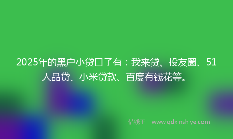 2025年的黑户小贷口子有：我来贷、投友圈、51人品贷、小米贷款、百度有钱花等。