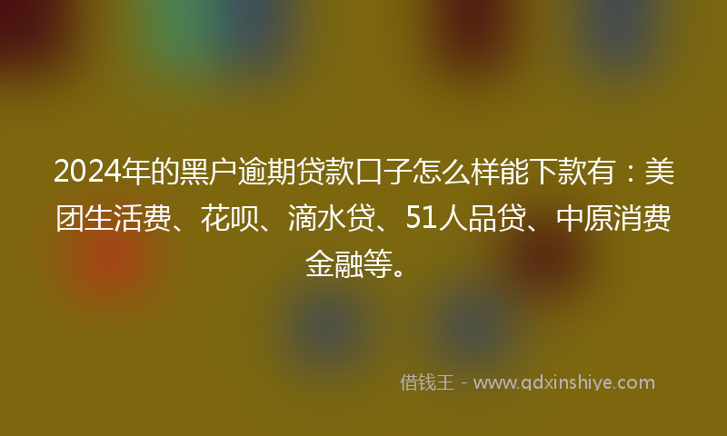 2024年的黑户逾期贷款口子怎么样能下款有：美团生活费、花呗、滴水贷、51人品贷、中原消费金融等。