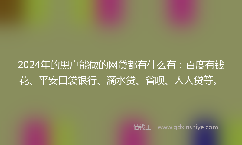2024年的黑户能做的网贷都有什么有：百度有钱花、平安口袋银行、滴水贷、省呗、人人贷等。