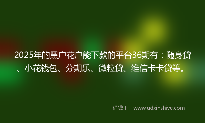 2025年的黑户花户能下款的平台36期有：随身贷、小花钱包、分期乐、微粒贷、维信卡卡贷等。