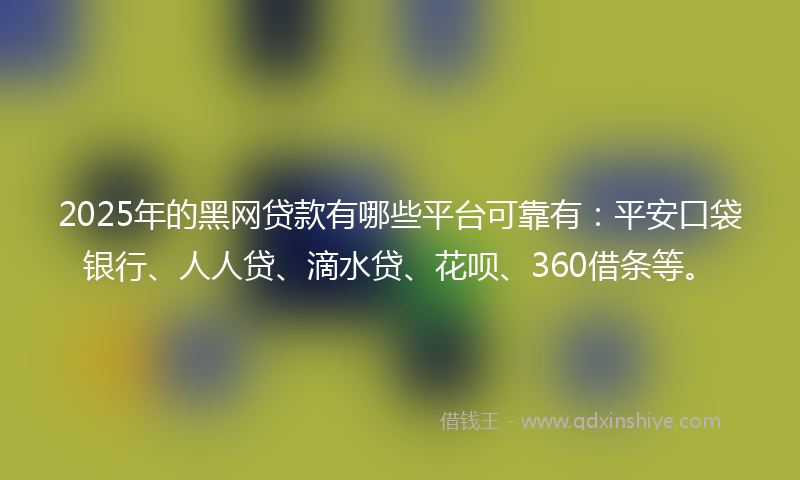 2025年的黑网贷款有哪些平台可靠有：平安口袋银行、人人贷、滴水贷、花呗、360借条等。