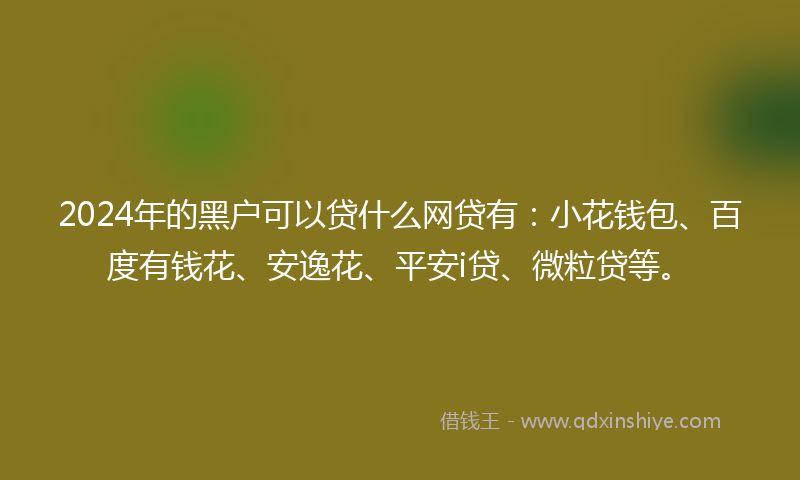 2024年的黑户可以贷什么网贷有：小花钱包、百度有钱花、安逸花、平安i贷、微粒贷等。