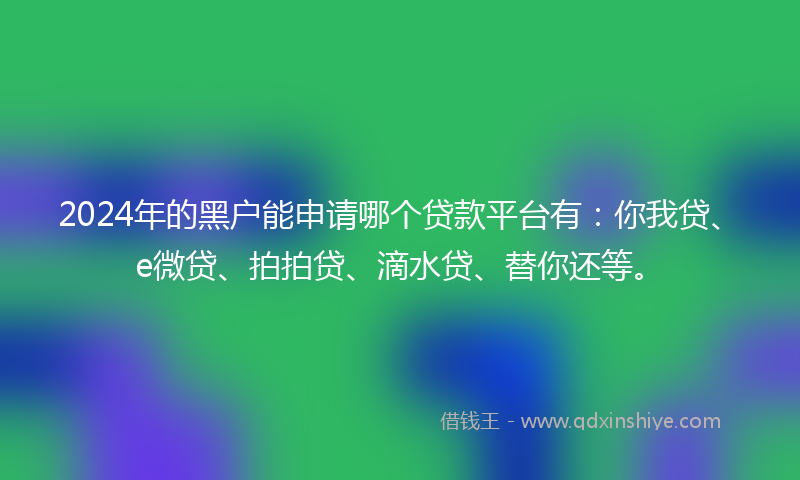 2024年的黑户能申请哪个贷款平台有：你我贷、e微贷、拍拍贷、滴水贷、替你还等。