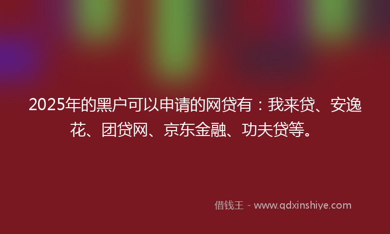 2025年的黑户可以申请的网贷有：我来贷、安逸花、团贷网、京东金融、功夫贷等。
