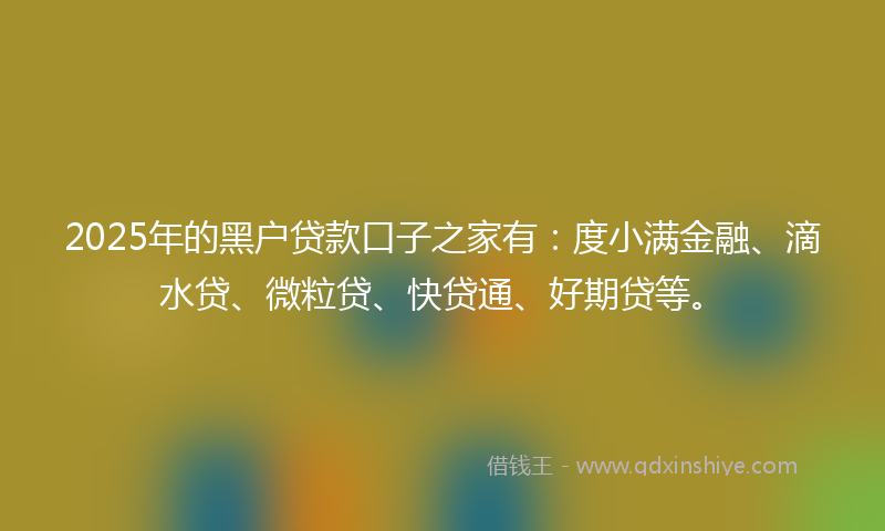 2025年的黑户贷款口子之家有：度小满金融、滴水贷、微粒贷、快贷通、好期贷等。