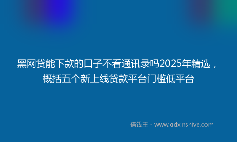 黑网贷能下款的口子不看通讯录吗2025年精选，概括五个新上线贷款平台门槛低平台
