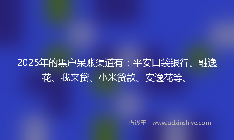 2025年的黑户呆账渠道有：平安口袋银行、融逸花、我来贷、小米贷款、安逸花等。