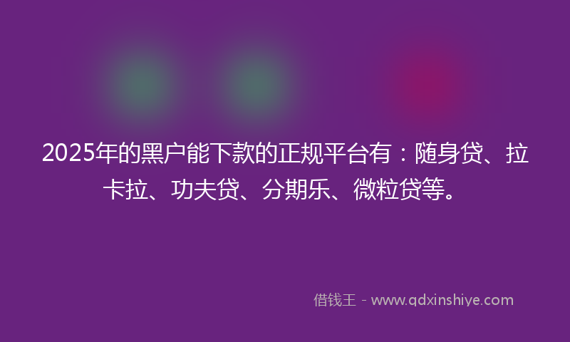 2025年的黑户能下款的正规平台有：随身贷、拉卡拉、功夫贷、分期乐、微粒贷等。