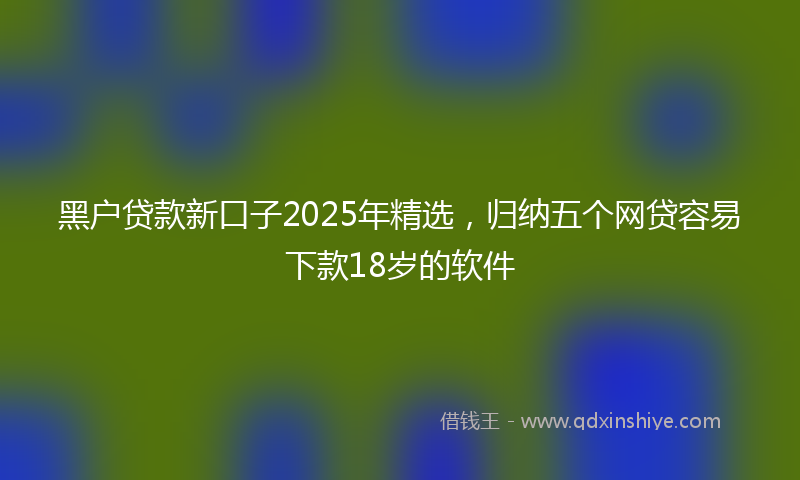 黑户贷款新口子2025年精选，归纳五个网贷容易下款18岁的软件