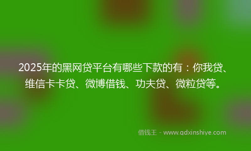 2025年的黑网贷平台有哪些下款的有：你我贷、维信卡卡贷、微博借钱、功夫贷、微粒贷等。