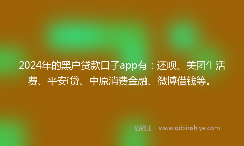2024年的黑户贷款口子app有：还呗、美团生活费、平安i贷、中原消费金融、微博借钱等。