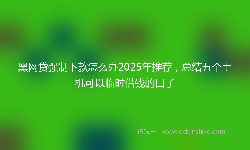 黑网贷强制下款怎么办2025年推荐，总结五个手机可以临时借钱的口子