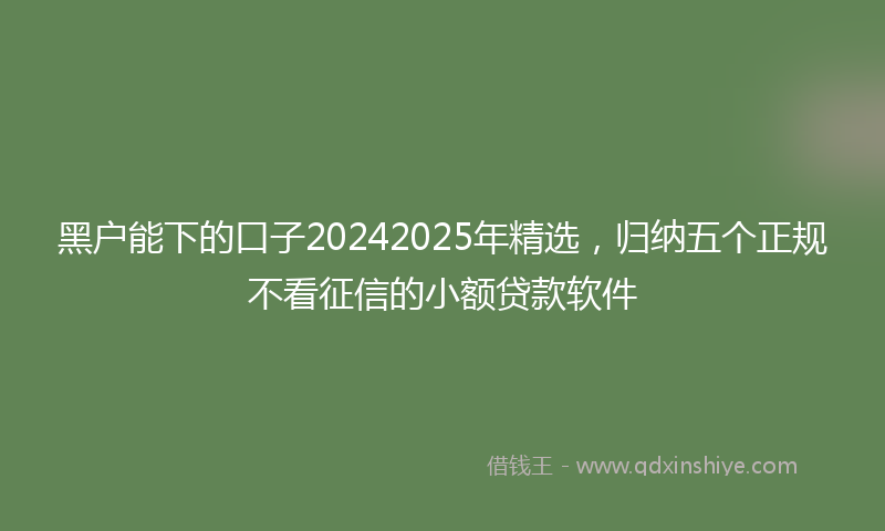 黑户能下的口子20242025年精选，归纳五个正规不看征信的小额贷款软件