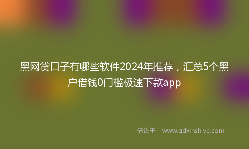 黑网贷口子有哪些软件2024年推荐，汇总5个黑户借钱0门槛极速下款app