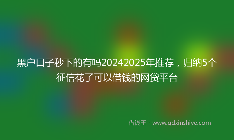 黑户口子秒下的有吗20242025年推荐，归纳5个征信花了可以借钱的网贷平台