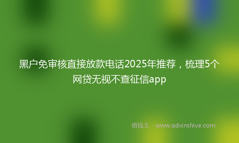 黑户免审核直接放款电话2025年推荐，梳理5个网贷无视不查征信app