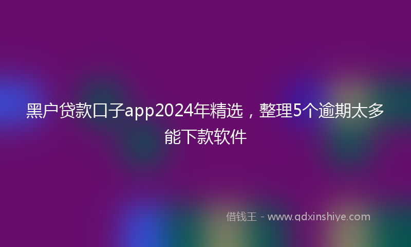 黑户贷款口子app2024年精选，整理5个逾期太多能下款软件