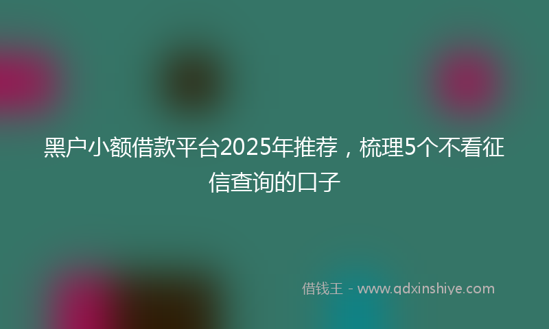 黑户小额借款平台2025年推荐，梳理5个不看征信查询的口子