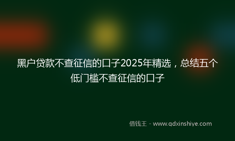 黑户贷款不查征信的口子2025年精选，总结五个低门槛不查征信的口子